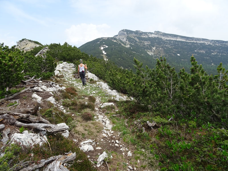 Becco della Ceriola e Cima del Campigolt......Vigolana